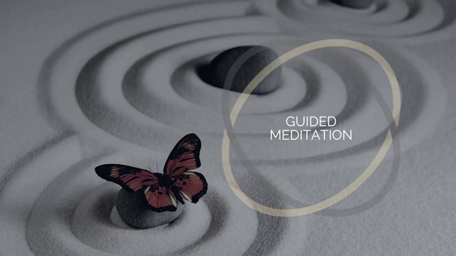 Wisdom Well Way - FULL Guided Meditation - no music - 17min 50sec