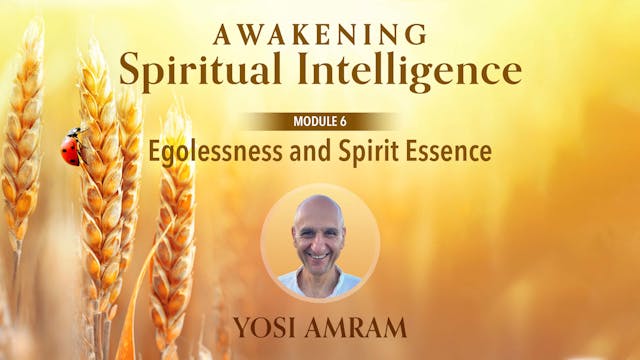 Awakening Spiritual Intelligence with...