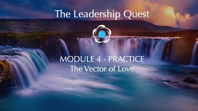 LQ - Module 4 Practice - The Vector o...