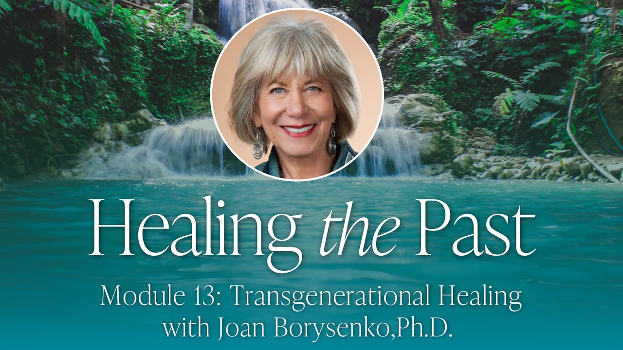 13: Transgenerational Healing with Joan Borysenko - Healing The Past ...