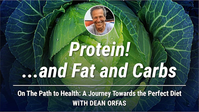 On The Path to Health - Protein!..and Fat and Carbs