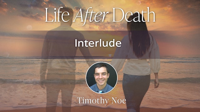 LAD - Interlude with Timothy Noe