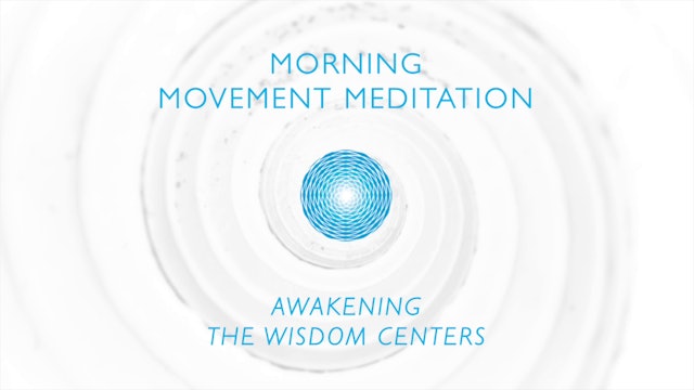 Wisdom Centers #1 Awakening the Wisdom Centers