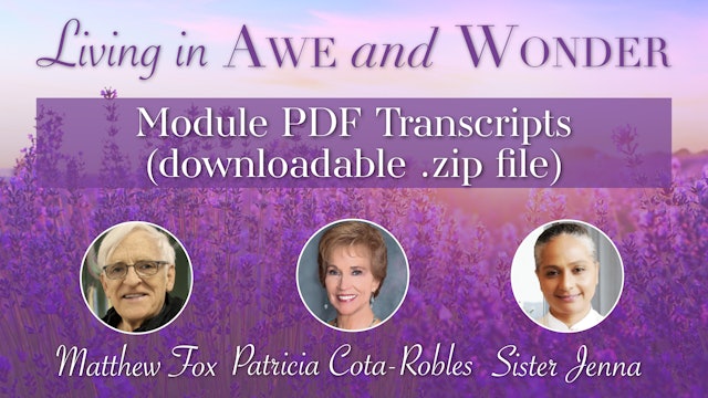 Awe & Wonder - Module PDF Transcripts (downloadable .zip file)