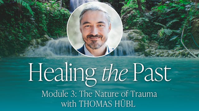 3:  The Nature of Trauma with Thomas ...