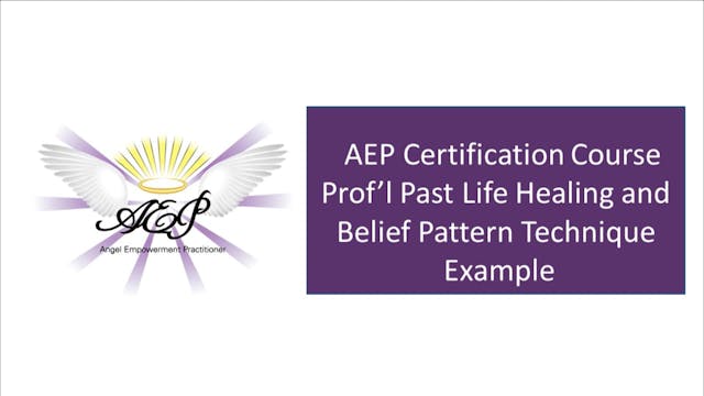 AEP 4.8 - Professional Past Life Heal...