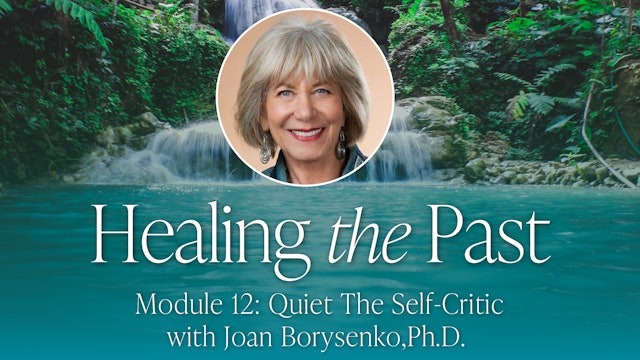 12: Quiet the Self-Critic with Joan Borysenko