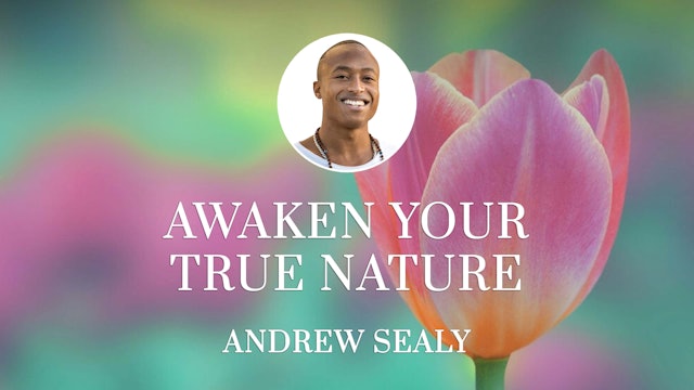 Awaken Your True Nature with Andrew Sealy