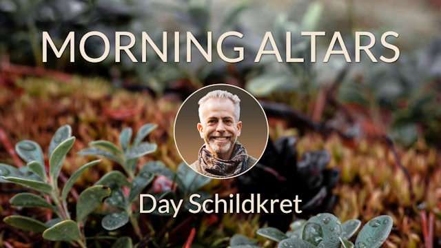 Morning Altars with Day Schildkret