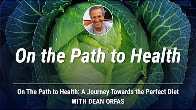 On The Path to Health - On The Path To Health