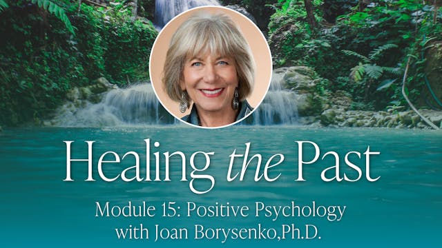 15: Positive Psychology with Joan Bor...