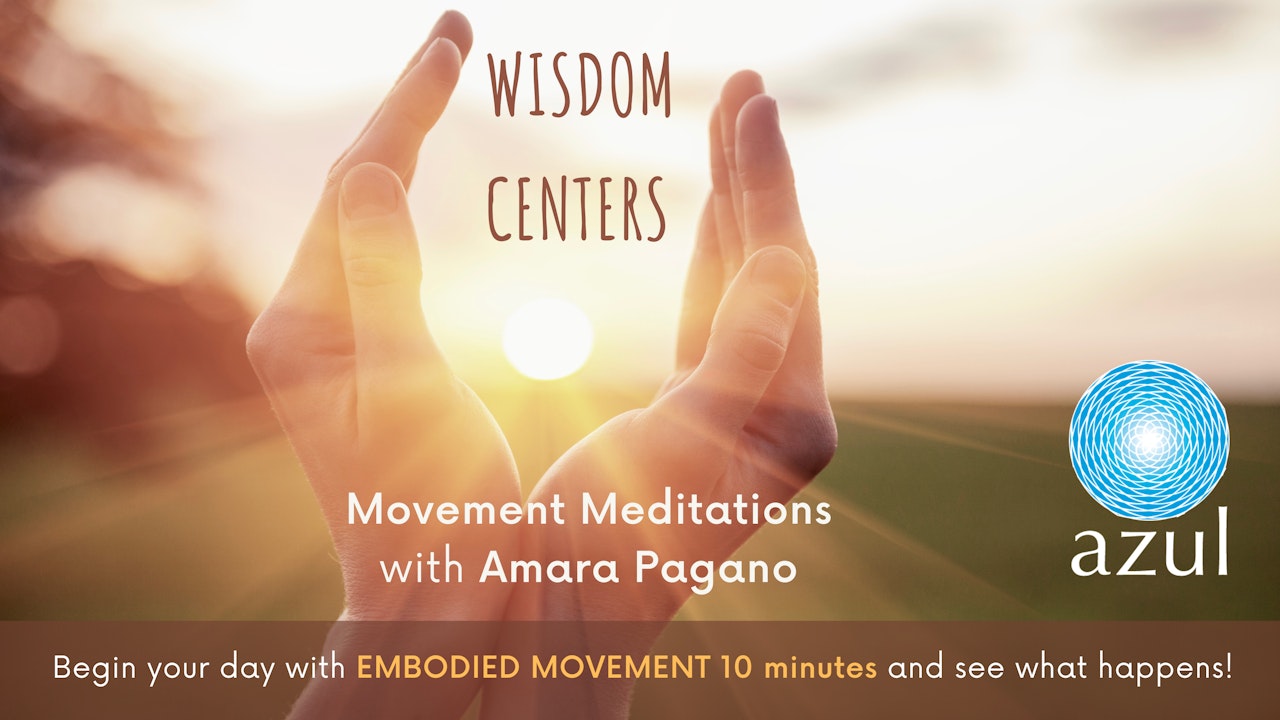 Wisdom Centers Movement Meditations