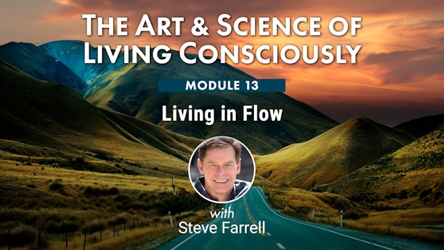 ASLC-13 - Living in Flow with Steve Farrell