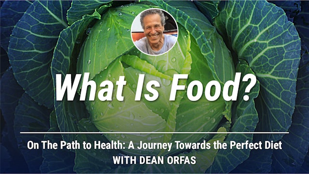 On The Path to Health - What Is Food