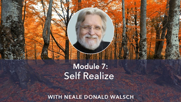 7: Self Realize with Neale Donald Walsch