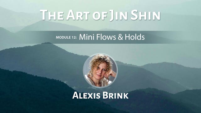 The Art of Jin Shin with Alexis Brink...