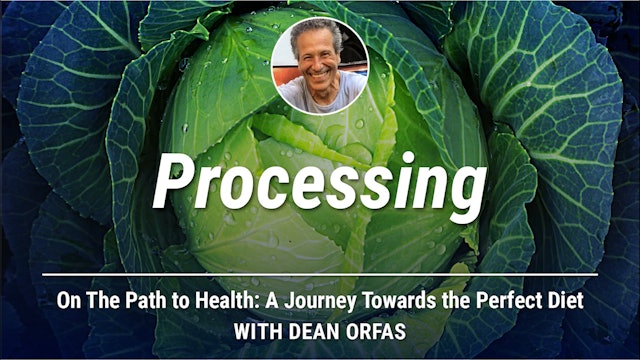 On The Path to Health - Processing