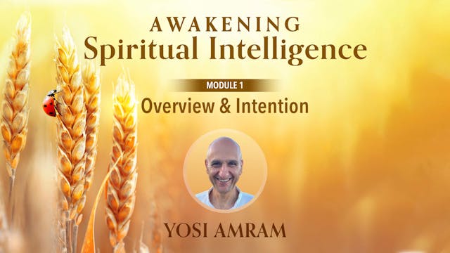 Awakening Spiritual Intelligence with...