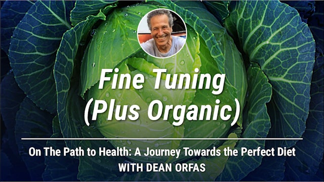 On The Path to Health - Fine Tuning (Plus Organic)
