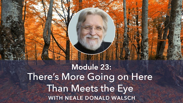 23: There’s More Going On Here Than Meets the Eye with Neale Donald Walsch