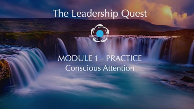 LQ - Module 1 Practice - Conscious Attention