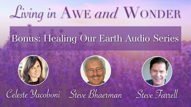 Awe & Wonder Bonus: Healing Our Earth Audio Series (Downloadable.zip file)