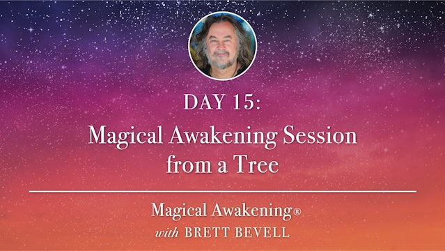 Magical Awakening® Day 15: Magical Awakening Session from a Tree