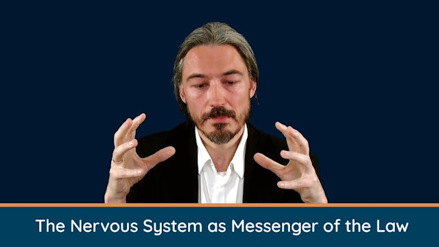 Healing the Past - Bonus Video: The Nervous System as the Messenger of the Law