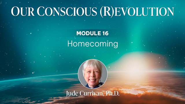 Our Conscious (R)evolution - Module 16
