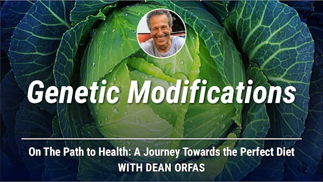 On The Path to Health - Genetic Modifications