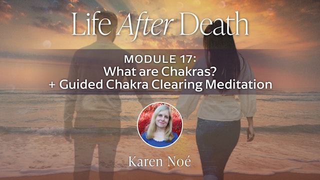 LAD - Module 17 - What are Chakras? + Guided Chakra Clearing Meditation 