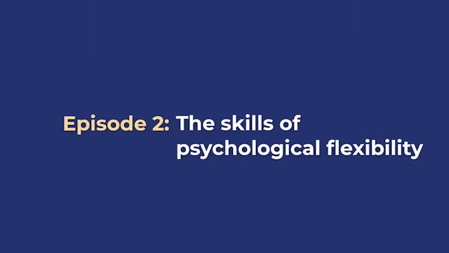 Psych Flex Part 2 - The Skills of Psychological Flexibility
