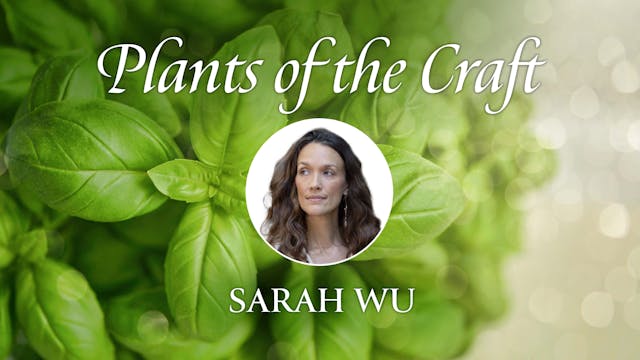 Plants of the Craft - Sacred and Holy...