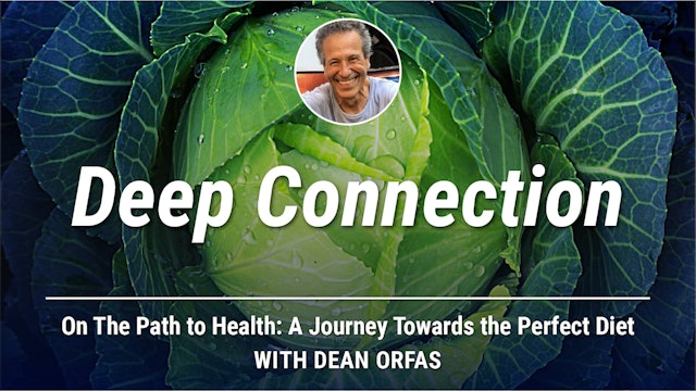 On The Path to Health - Deep Connection