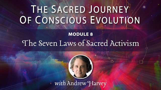 Sacred Journey - Mod 8 - The Seven Laws of Sacred Activism
