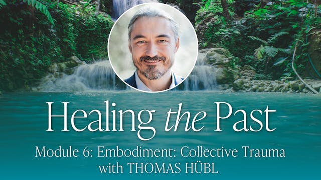 6: Collective Trauma with Thomas Hübl