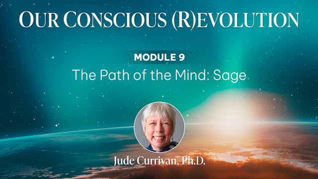 Our Conscious (R)evolution - Module 9