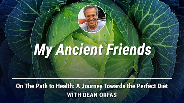 On The Path to Health - My Ancient Friends