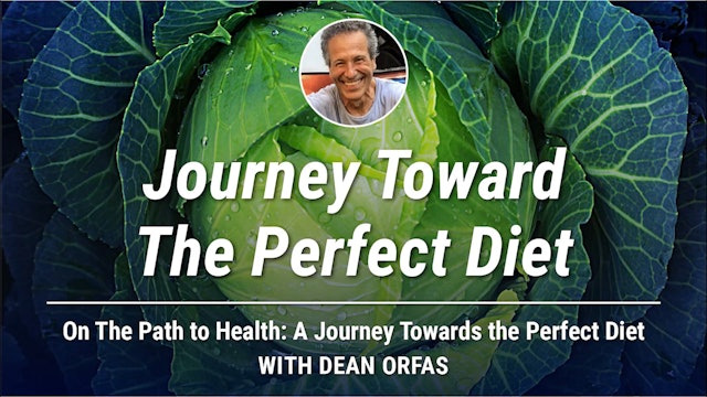 On The Path to Health - Journey Toward The Perfect Diet