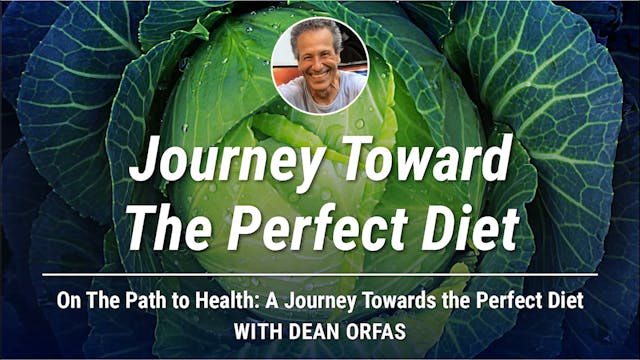 On The Path to Health - Journey Towar...