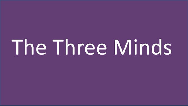 AEP 1.1 - HANDOUT - The Three Minds Description (pdf)