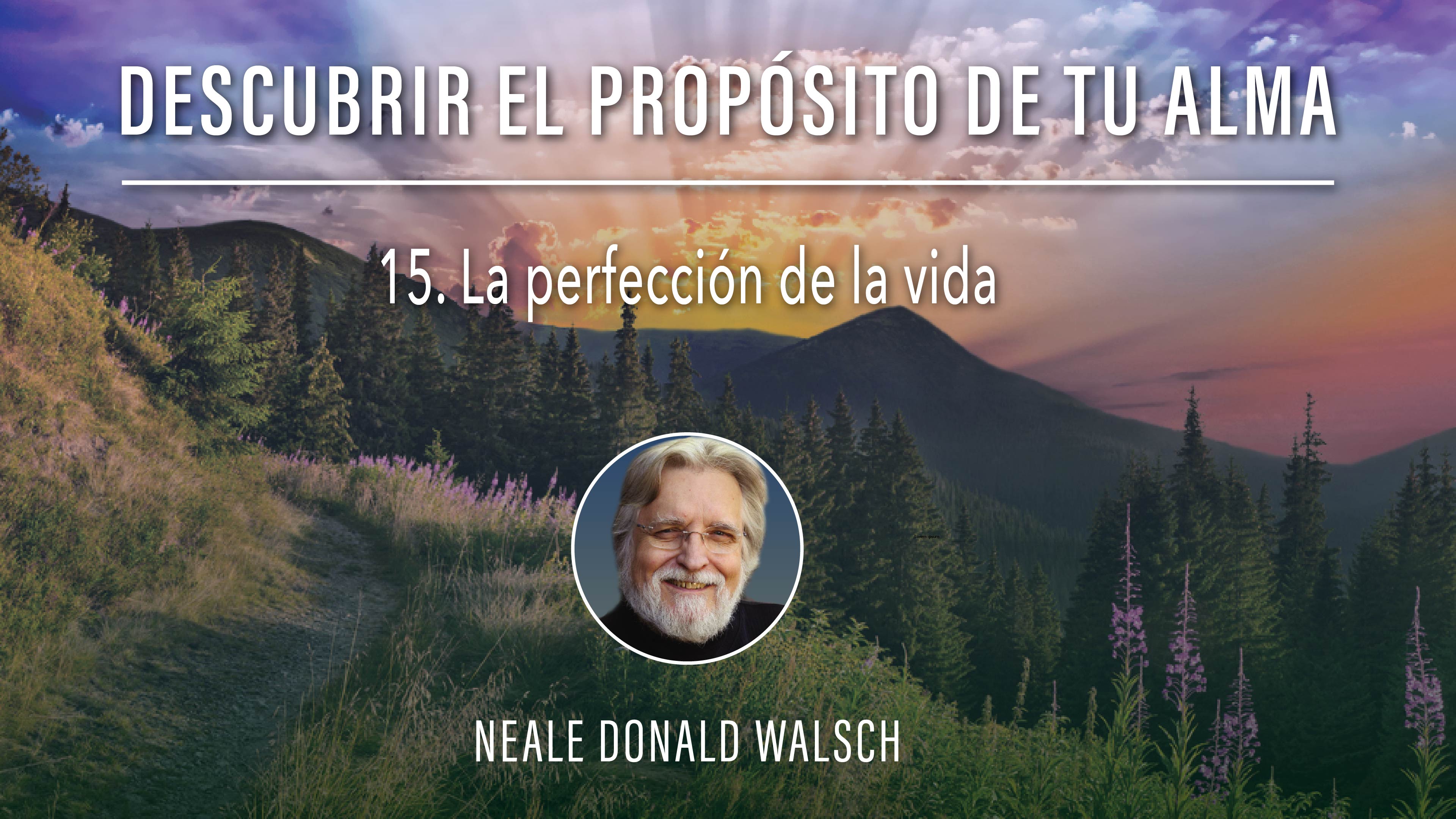 15. La perfección de la vida