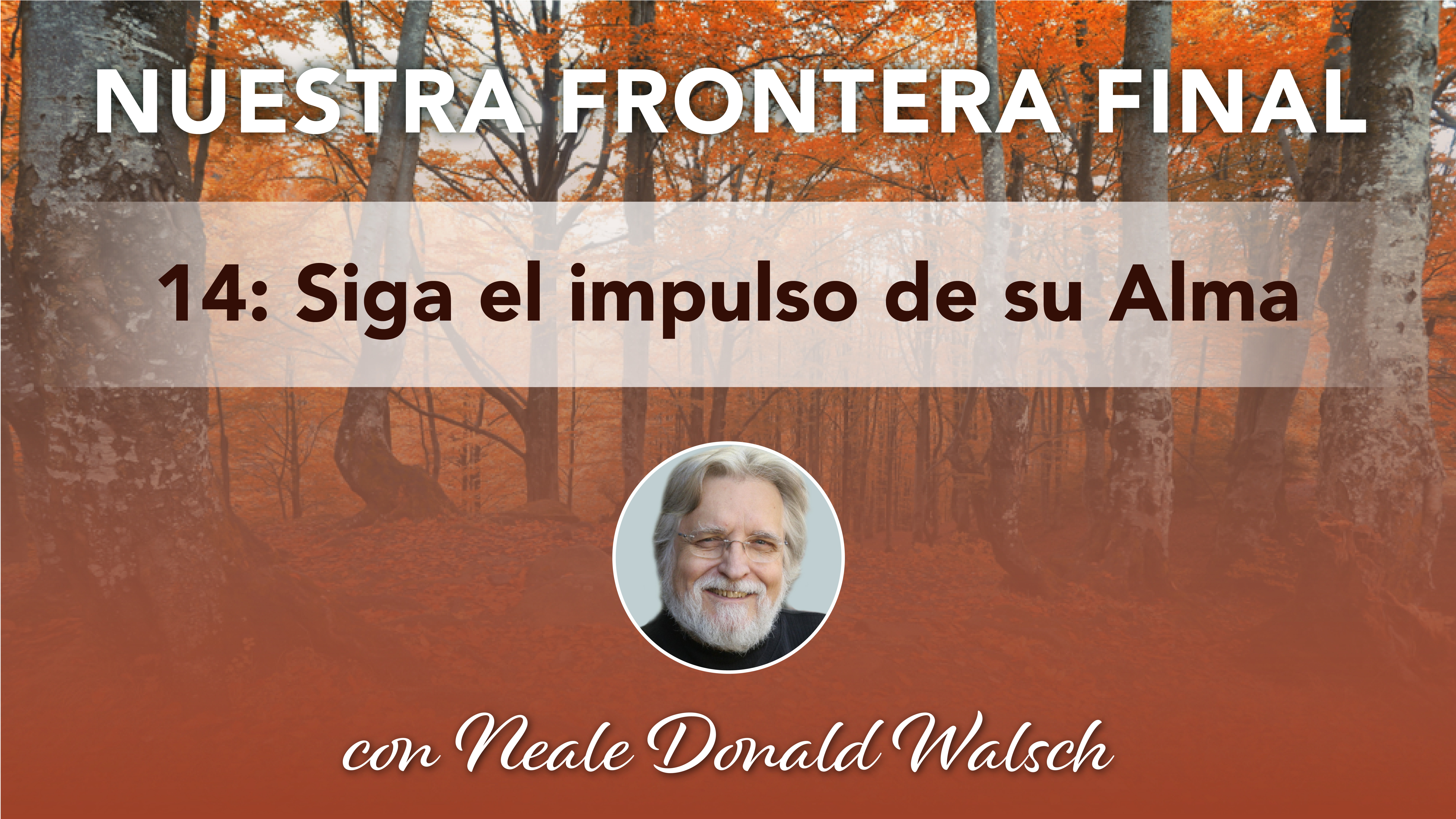 14. Siga el impulso de su Alma