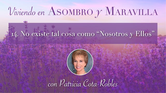 14: No existe tal cosa como “Nosotros...