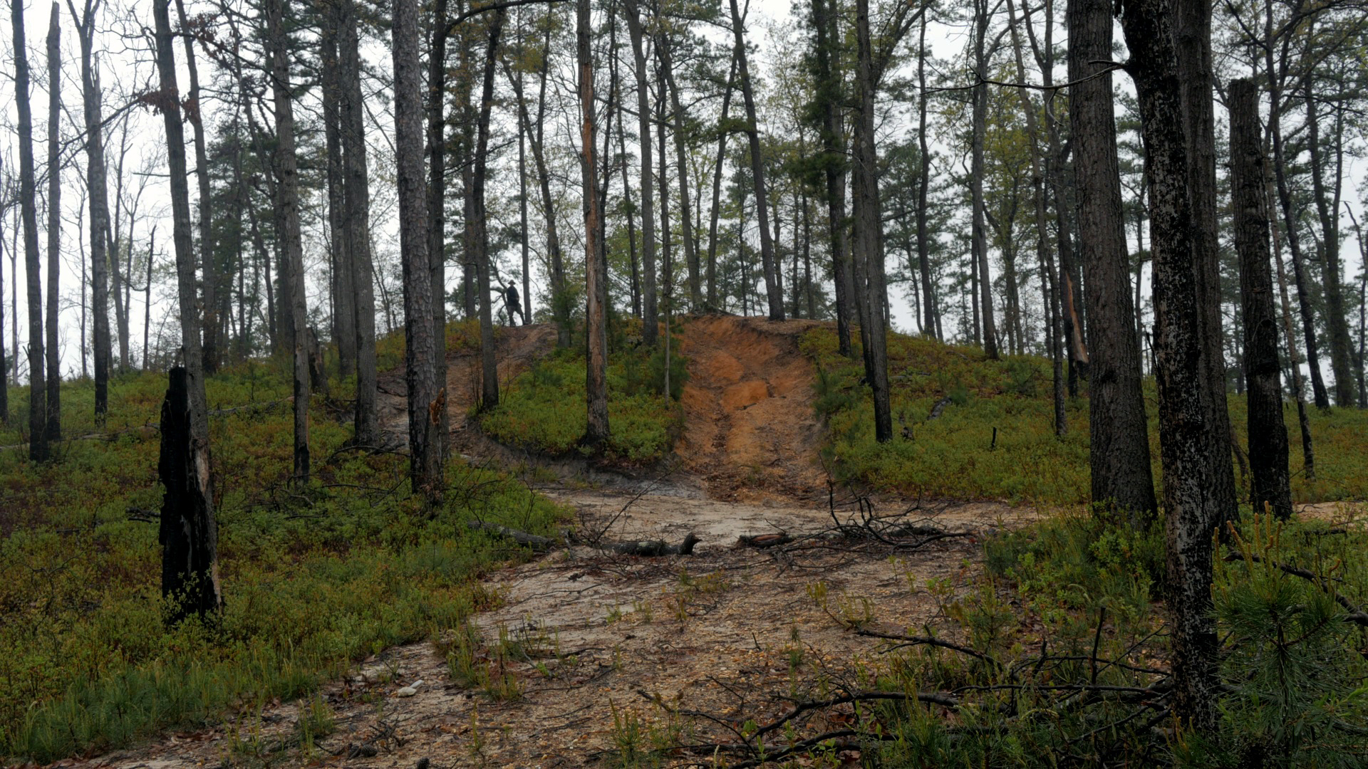 Pine Mud (2021)