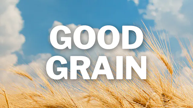 Good Grain (2025)