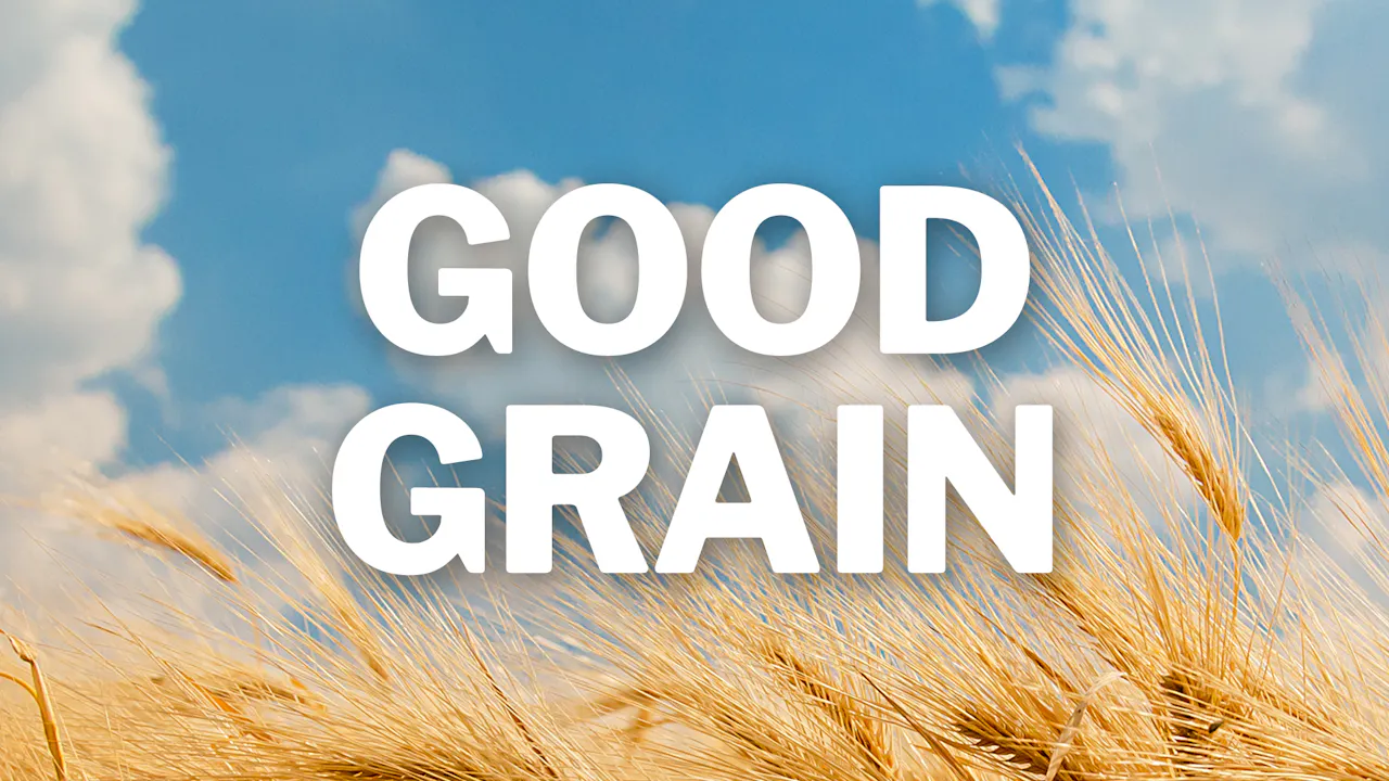 Good Grain (2025)
