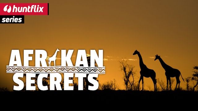 Afrikan Secrets