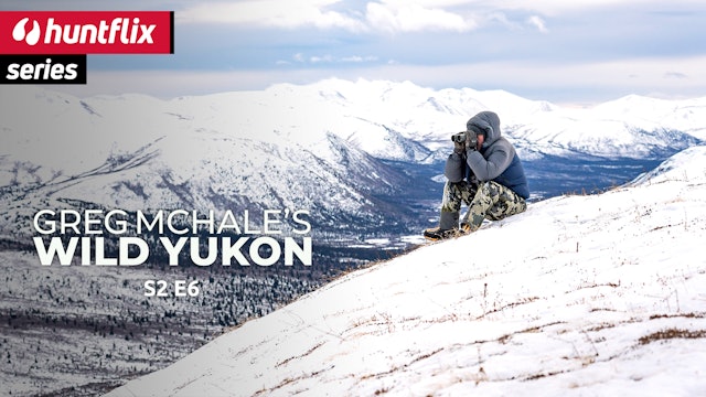 North of the arctic circle: Alaska-Yukon Moose. Part 1