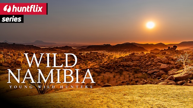 Wild Namibia
